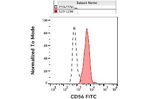Surface staining of human peripheral blood with anti-human CD56 (LT56) FITC. (CD56 anticorps  (FITC))