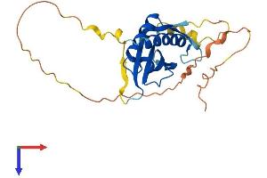 AlphaFold protein structure predicition of Human Recombinant DDIT4 Protein, UniprotID Q9NX09