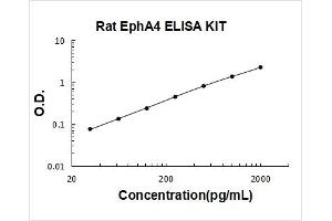 EPH Receptor A4 (EPHA4) ELISA Kit