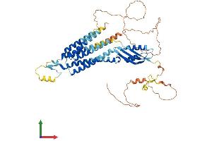AlphaFold protein structure predicition of Human Recombinant SLC30A1 Protein, UniprotID Q9Y6M5