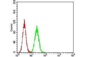 Flow cytometric analysis of Hela cells using ASF1A mouse mAb (green) and negative control (red).
