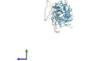 AlphaFold protein structure predicition of Human Recombinant ZNF841 Protein, UniprotID Q6ZN19