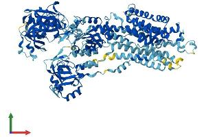 AlphaFold protein structure predicition of Mouse Recombinant Atp2a1 Protein, UniprotID Q8R429
