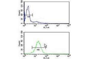 TBP antibody flow cytometry analysis of HL-60 cells (green) compared to a negative control (blue). (TBP anticorps  (AA 210-239))