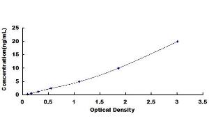 Typical standard curve (RGS5 Kit ELISA)