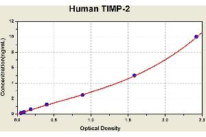 Diagramm of the ELISA kit to detect Human T1 MP-2with the optical density on the x-axis and the concentration on the y-axis. (TIMP2 Kit ELISA)