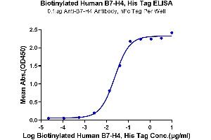 Immobilized Anti-B7-H4 Antibody, hFc Tag at 1 μg/mL (100 μL/well) on the plate.