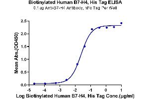Immobilized Anti-B7-H4 Antibody, hFc Tag at 1 μg/mL (100 μL/well) on the plate. (VTCN1 Protein (His-Avi Tag,Biotin))