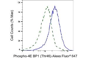 Flow cytometric analysis of phospho-4E BP1 (Thr46) expression in C2C12 cells using phospho-4E BP1 (Thr46) antibody (ABIN7798530), 1:2,000). (Recombinant eIF4EBP1 anticorps  (pThr46))
