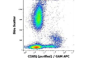 Flow cytometry surface staining pattern of human peripheral blood stained using anti-human CD85j(GHI/75) purified antibody (concentration in sample 1 μg/mL) GAM APC. (LILRB1 anticorps)
