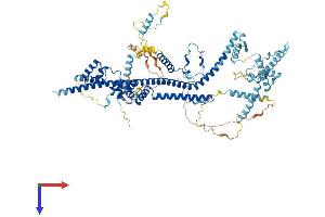 AlphaFold protein structure predicition of Mouse Recombinant Cdc5l Protein, UniprotID Q6A068