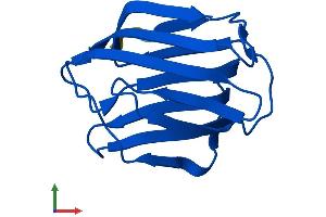 AlphaFold protein structure predicition of Mouse Recombinant Lgals2 Protein, UniprotID Q9CQW5