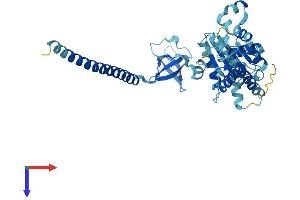 AlphaFold protein structure predicition of Human Recombinant PSMC6 Protein, UniprotID P62333