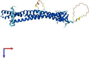 AlphaFold protein structure predicition of Mouse Recombinant Sh3gl3 Protein, UniprotID Q62421