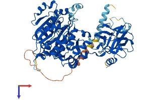 AlphaFold protein structure predicition of Human Recombinant GALNTL6 Protein, UniprotID Q49A17