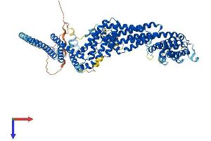 AlphaFold protein structure predicition of Mouse Recombinant Rint1 Protein, UniprotID Q8BZ36