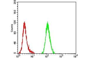 Flow cytometric analysis of Hela cells using CYCS mouse mAb (green) and negative control (red).