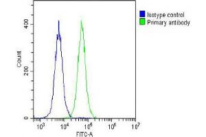 Overlay histogram showing Hela cells stained with (ABIN650616 and ABIN2844786) (green line).