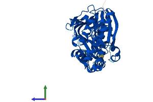 AlphaFold protein structure predicition of Human Recombinant PANK3 Protein, UniprotID Q9H999