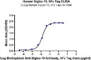 Immobilized Human Siglec-10 at 2 μg/mL (100 μL/Well) on the plate.