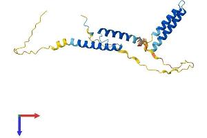 AlphaFold protein structure predicition of Human Recombinant HES4 Protein, UniprotID Q9HCC6