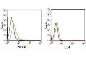 FACS testing of Rabbit IgG isotype control antibody PE conjugate on mouse samples. (Lapin IgG isotype control (PE))