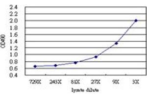 Sandwich ELISA detection sensitivity ranging from approximately 27x to 3x dilution of the IFNA1 293T overexpression lysate (non-denatured).