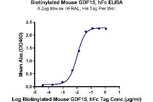 Growth Differentiation Factor 15 (GDF15) (AA 189-303) protein (Fc Tag,Biotin)