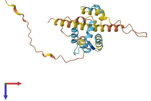 AlphaFold protein structure predicition of Human Recombinant CABP7 Protein, UniprotID Q86V35