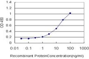 Detection limit for recombinant GST tagged EBI3 is approximately 0. (EBI3 anticorps  (AA 129-229))