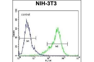 KI Antibody (C-term) (ABIN654471 and ABIN2844205) flow cytometric analysis of NIH-3T3 cells (right histogram) compared to a negative control cell (left histogram). (KIAA1609 anticorps  (C-Term))