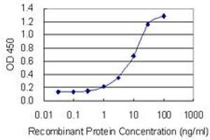 Detection limit for recombinant GST tagged NBEA is 0.