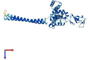 AlphaFold protein structure predicition of Human Recombinant RMND5A Protein, UniprotID Q9H871