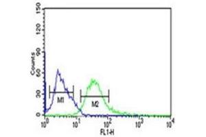 PHGDH antibody flow cytometric analysis of Ramos cells (green) compared to a negative control (blue).