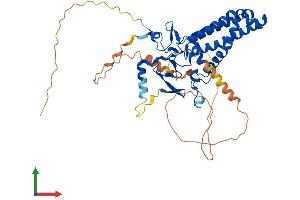 AlphaFold protein structure predicition of Human Recombinant ZDHHC14 Protein, UniprotID Q8IZN3