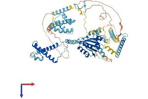 AlphaFold protein structure predicition of Human Recombinant PRPF3 Protein, UniprotID O43395