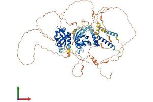 AlphaFold protein structure predicition of Human Recombinant NPAS4 Protein, UniprotID Q8IUM7