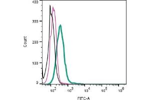 Cell surface detection of ACE2 by direct flow cytometry in live intact human  monocytic leukemia cell line: + Rabbit IgG Isotype Control-FITC (ABIN7582044). (ACE2 anticorps  (Extracellular) (FITC))