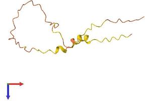 AlphaFold protein structure predicition of Human Recombinant LINC00526 Protein, UniprotID Q96FQ7
