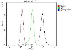 Flow Cytometry analysis of RH35 cells using anti-IGFBP2 antibody (ABIN5693239).