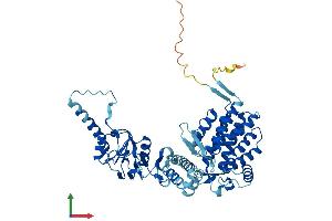 AlphaFold protein structure predicition of Mouse Recombinant Cct3 Protein, UniprotID P80318
