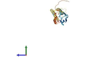 AlphaFold protein structure predicition of Human Recombinant ODF1 Protein, UniprotID Q14990
