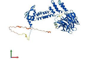 AlphaFold protein structure predicition of Human Recombinant KEAP1 Protein, UniprotID Q14145