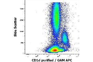 Flow cytometry surface staining pattern of human peripheral whole blood stained using anti-human CD1d (51. (CD1d anticorps)