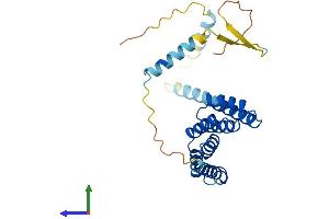 AlphaFold protein structure predicition of Human Recombinant TTC33 Protein, UniprotID Q6PID6