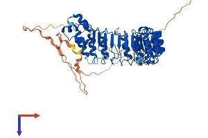 AlphaFold protein structure predicition of Human Recombinant FBXL7 Protein, UniprotID Q9UJT9