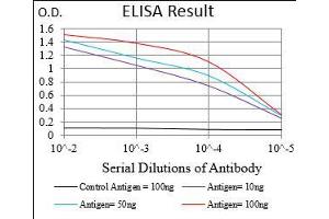 anti-CD93 (CD93) (AA 474-535) antibody