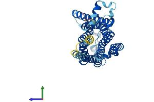 AlphaFold protein structure predicition of Human Recombinant TAAR1 Protein, UniprotID Q96RJ0