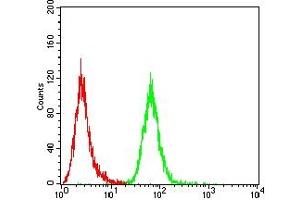 Flow cytometric analysis of HepG2 cells using ALB mouse mAb (green) and negative control (red).
