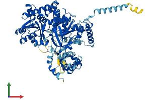 AlphaFold protein structure predicition of Mouse Recombinant Acsl5 Protein, UniprotID Q8JZR0